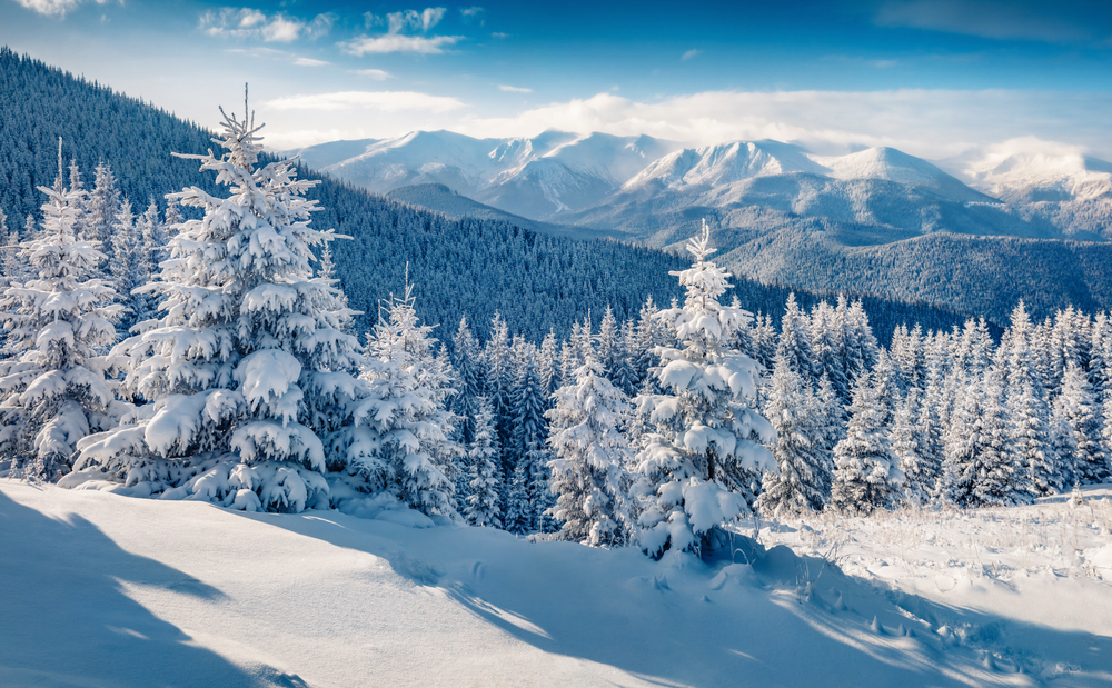 A photo of a wooded mountain range in winter